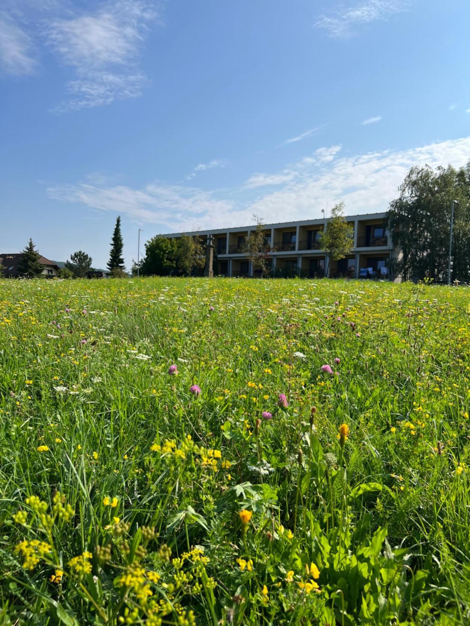 Lazensky A Wellness Hotel Nivamare Luhačovice Eksteriør billede